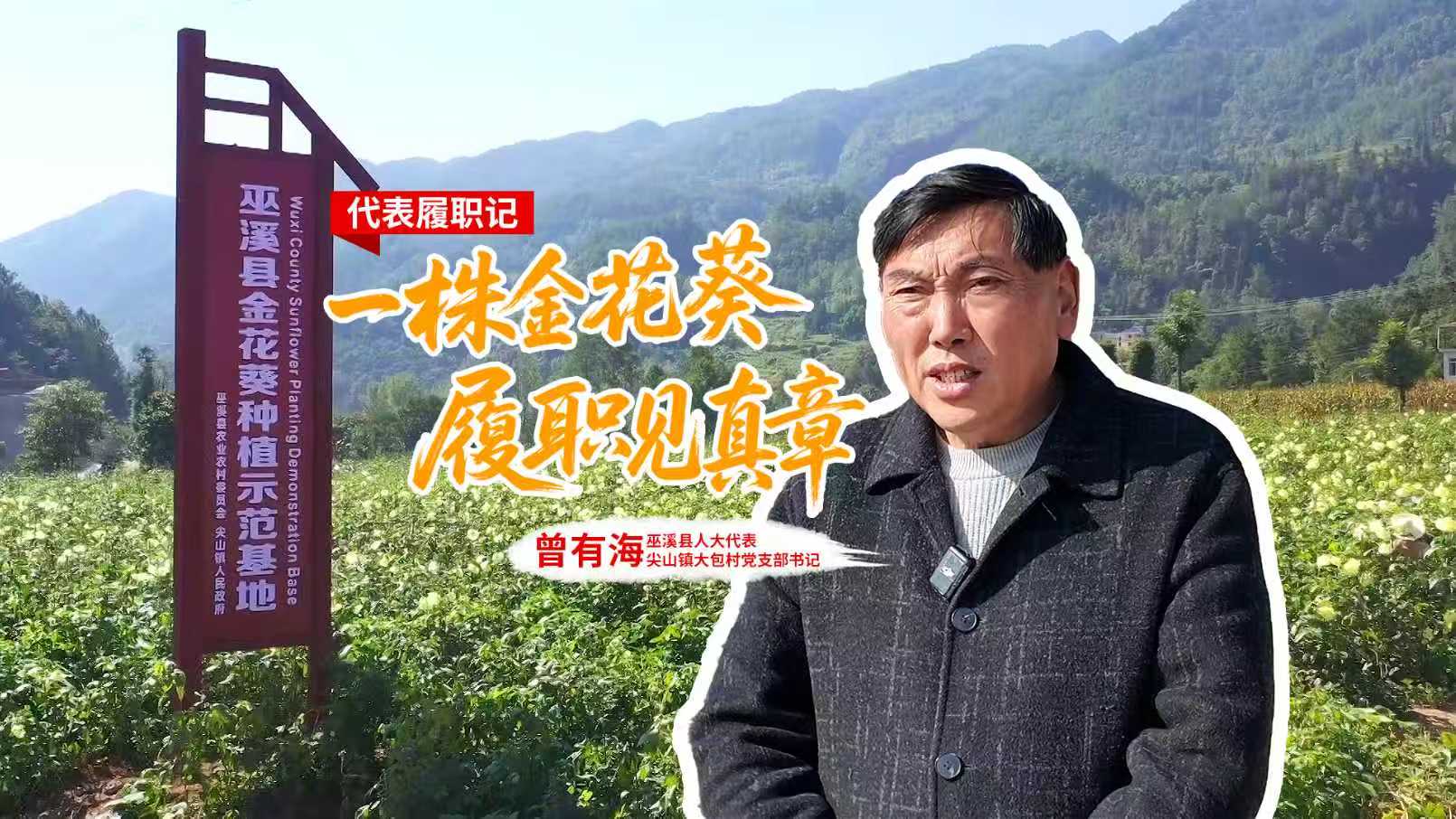 曾有海封面